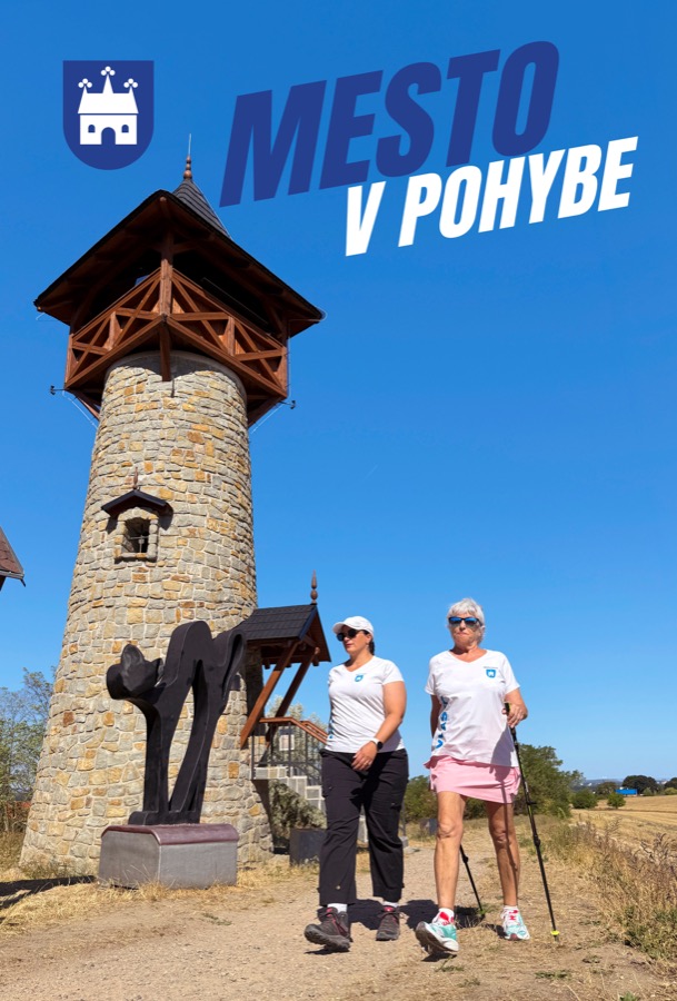 Mesto v pohybe – citylight 8